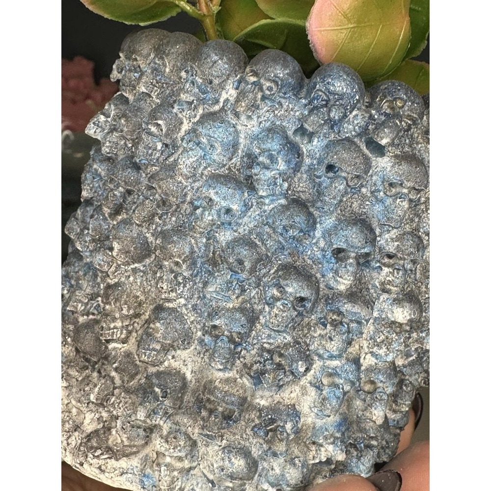 Skull Concrete Plant Pot  Blue Black  Handmade Cement Succulent Planter - Picture 8 of 9